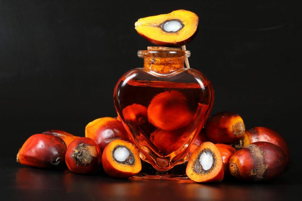 Red Palm oil Benefit of Red palm oils