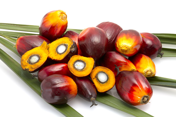 Is Red Palm Oil Good For The Liver